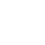 paintbrush icon