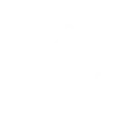 electrical icon